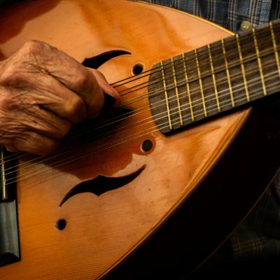 Mandolin